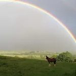 Nocleg ze śniadaniem Bollam 4*