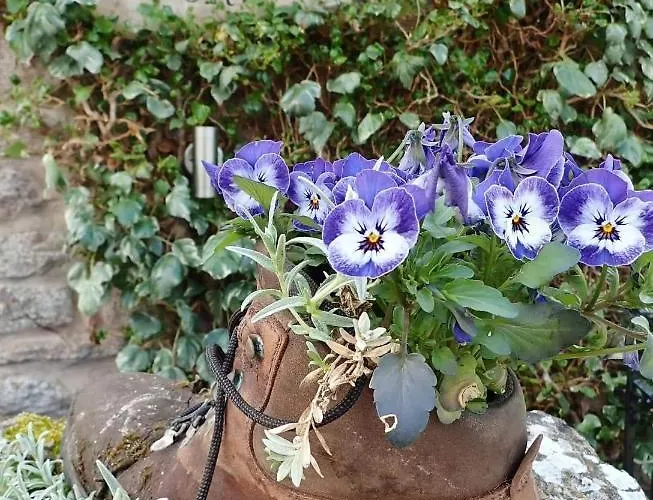 Bollam 4* Kirkby Stephen