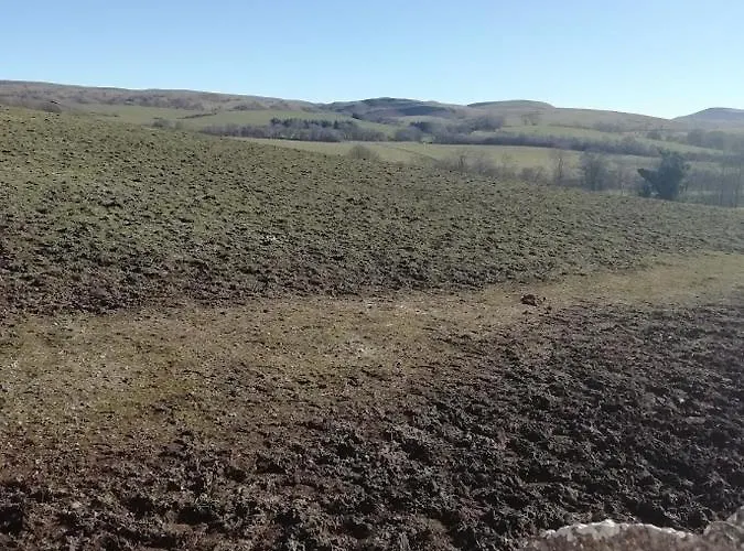 Bollam Bed & Breakfast