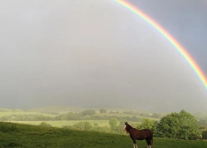 Bed & Breakfast Bollam 4*